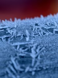 IMG_20241226_115404.jpg