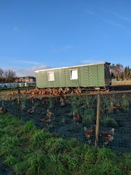 Gcam20241226_143512785.jpg