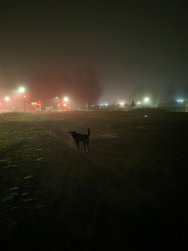 IMG_20241226_180033.jpg