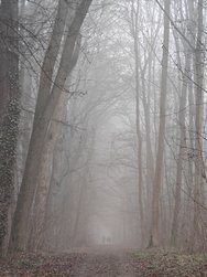 IMG20241226140736.jpg