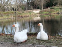 IMG20241220134721.jpg