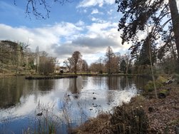 IMG20241220134103.jpg
