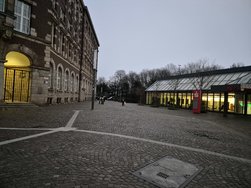 20241226_164937.jpg