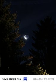 IMG_20241227_073122.jpg