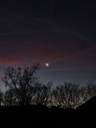 IMG_20241227_074054.jpg