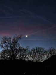IMG_20241227_074109.jpg
