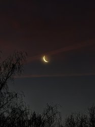 IMG_20241227_074103.jpg