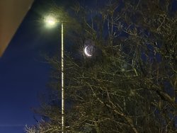 IMG_20241227_072243.jpg