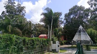IMG_20241227_095907.jpg