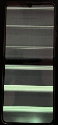 1000039199.jpg
