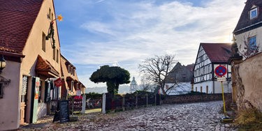 IMG_20241227_131754.jpg