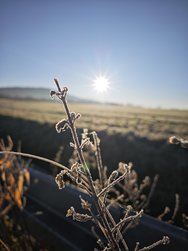 IMG_20241228_095414.jpg