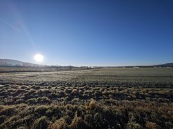 IMG_20241228_100045.jpg