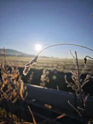 IMG_20241228_095344.jpg
