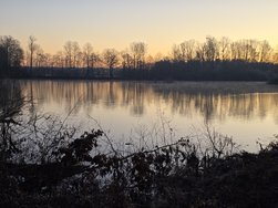 20241228_081944.jpg