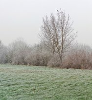 IMG_20241228_104257~2.jpg