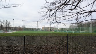 PXL_20241225_110123495.MP.jpg