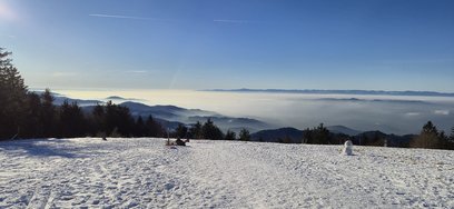 20241228_144301.jpg
