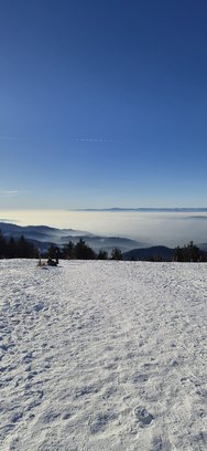 20241228_144306.jpg