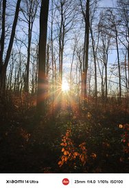 IMG_20241228_184813.jpg