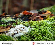 IMG_20241228_183629.jpg