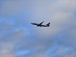 IMG_20241228_101805.jpg