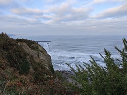 IMG_20241228_102035.jpg