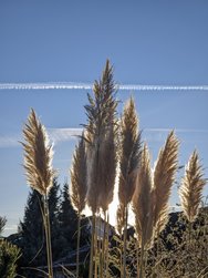 Gcam1_20241228_145331911.jpg