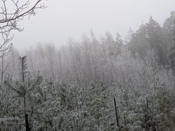 PXL_20241229_101450606.jpg