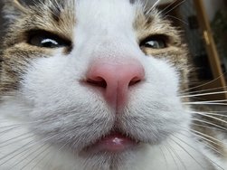 20240328_155859.jpg