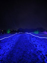 PXL_20231125_165611567.jpg