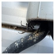 IMG_5704.jpeg