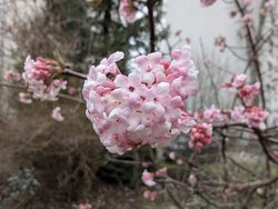 PXL_20241230_103936060.jpg