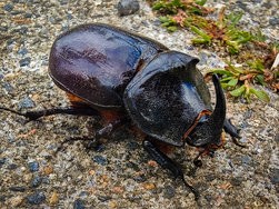 IMG_20240616_110011(1).jpg