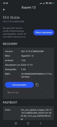 Screenshot_2024-12-30-15-34-03-502_en.hyperosdownloader.jpg
