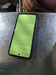 1000074150.jpg