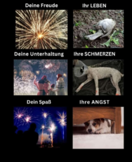 1000027908.png