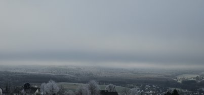 20241231_103119.jpg
