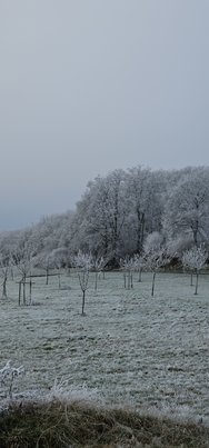 20241231_103046.jpg