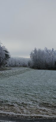 20241231_103038.jpg