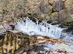 IMG_20241231_122408.jpg