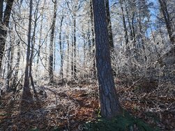 IMG_20241231_122814178_HDR.jpg