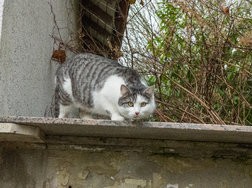 IMG_20241231_123701954.jpg