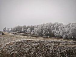 IMG_20241231_171607.jpg