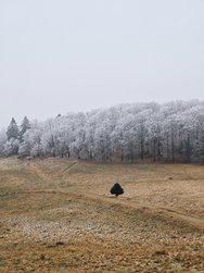 IMG_20241231_180425.jpg