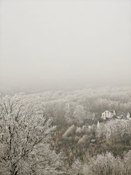 IMG_20241231_171217.jpg