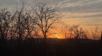 IMG_8382.jpeg