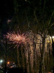 IMG_20250101_000209.jpg