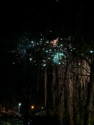 IMG_20250101_000444.jpg