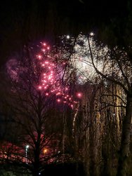 IMG_20250101_000445.jpg